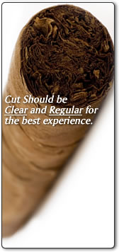 Cut Should be Clear and Regular for the best experience.